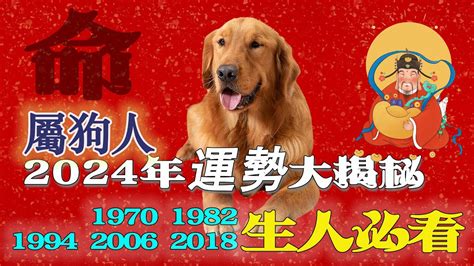 1994屬狗 龍年 2024